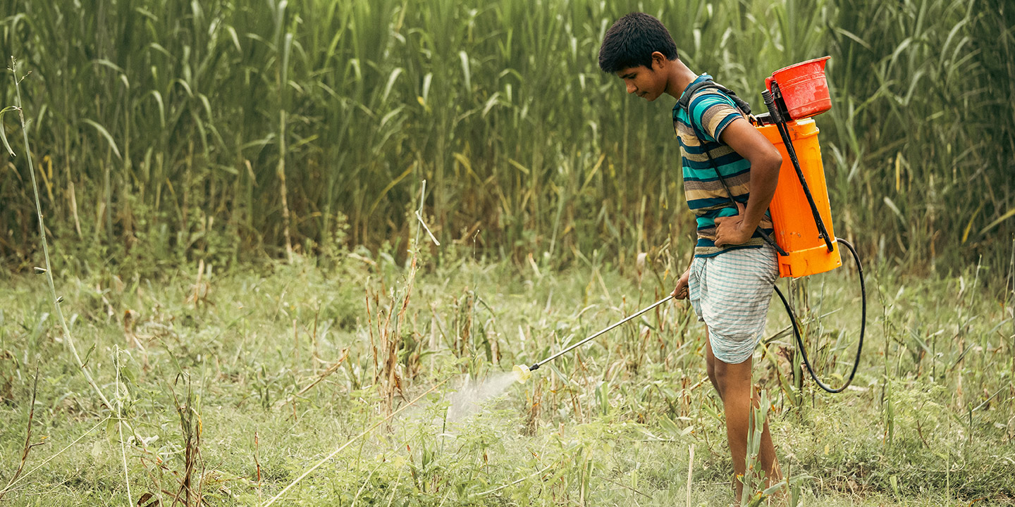 The human cost of pesticide-intensive agriculture