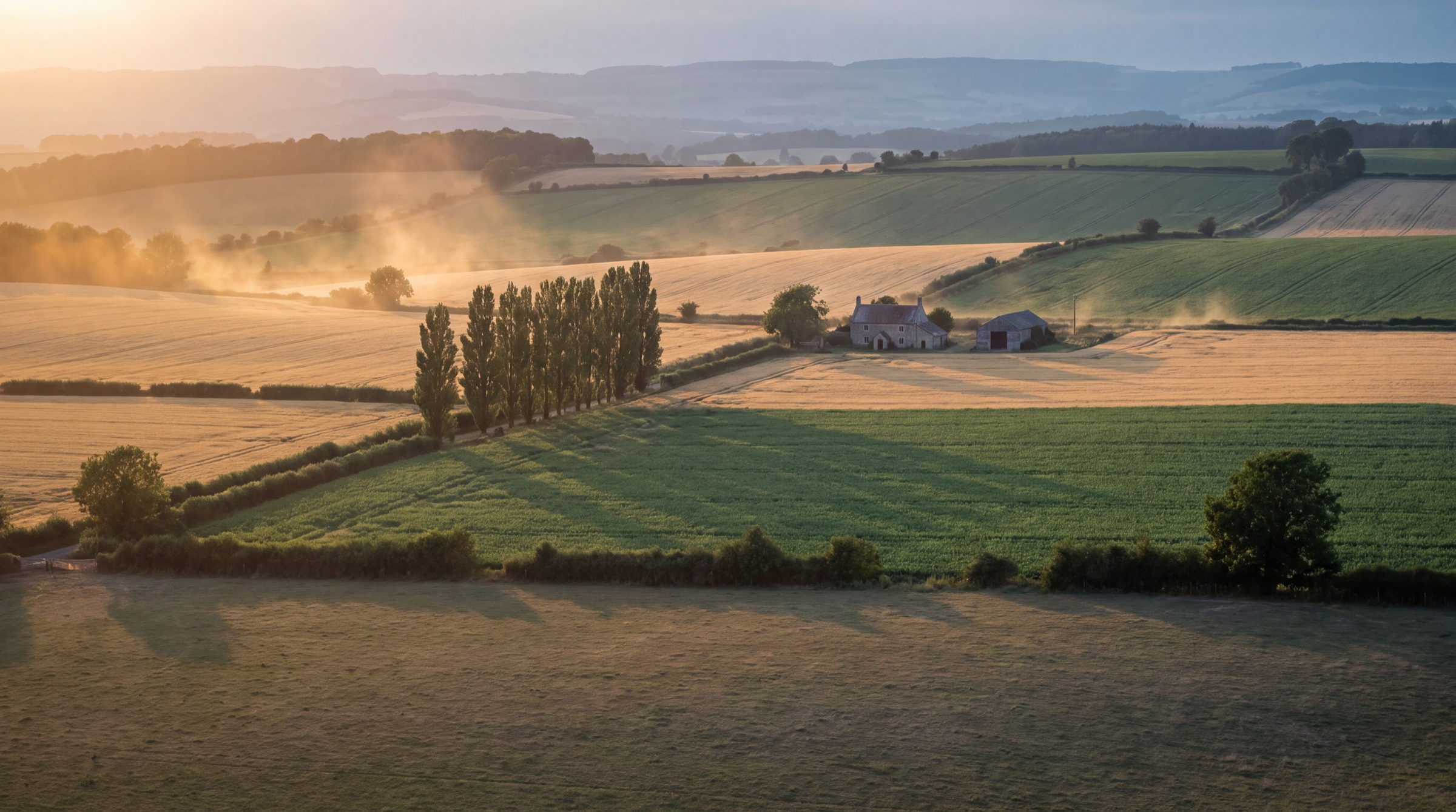 Organic farmland at golden hour